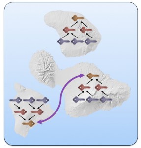 Cross-signing the root keys of different PKI islands uses ‘transitive trust’ to join PKIs (Source: Synopsys)