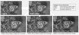 The effect of different number representations on a denoising algorithm